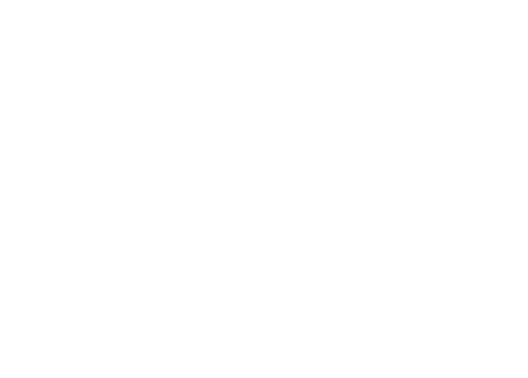 MC CONNECT